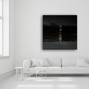 Le présage. Montage sous acrylique.