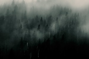 Matapédia. Zoom détail.