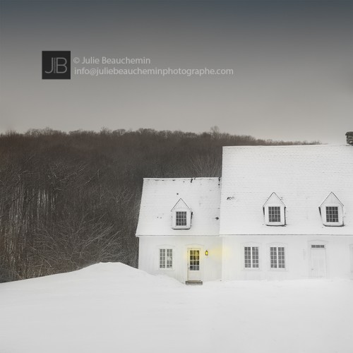 Sous la neige, les secrets feutrées © Julie Beauchemin